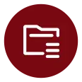 Export And Logistics Experience